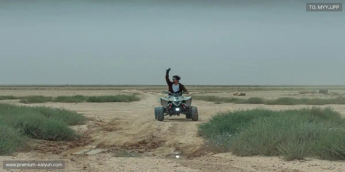 热血战歌，铸剑为犁！⚡